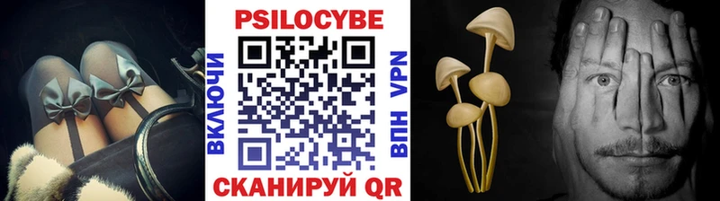 Псилоцибиновые грибы MAGIC MUSHROOMS  Кашин 